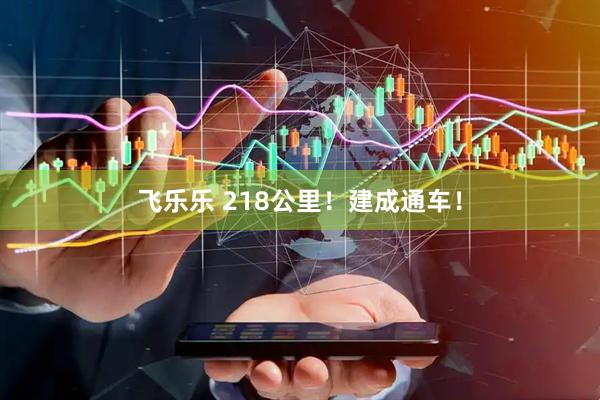 飞乐乐 218公里！建成通车！