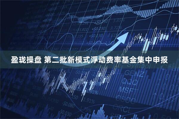 盈珑操盘 第二批新模式浮动费率基金集中申报