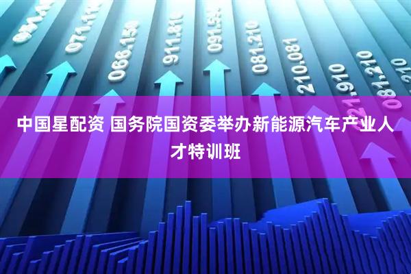 中国星配资 国务院国资委举办新能源汽车产业人才特训班