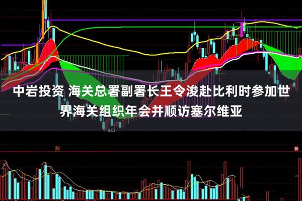 中岩投资 海关总署副署长王令浚赴比利时参加世界海关组织年会并顺访塞尔维亚