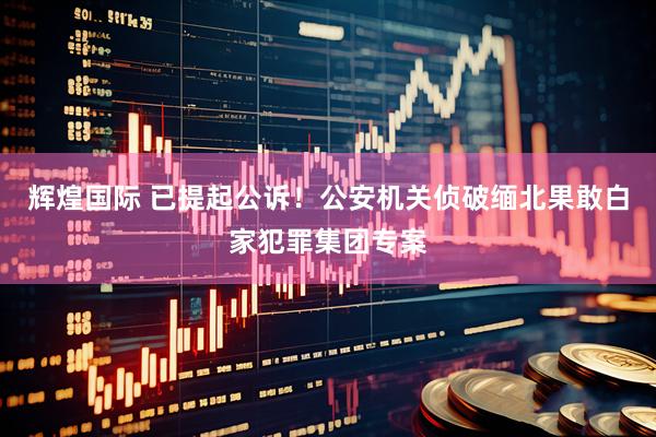 辉煌国际 已提起公诉！公安机关侦破缅北果敢白家犯罪集团专案