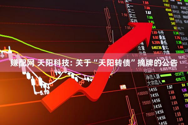 赚配网 天阳科技: 关于“天阳转债”摘牌的公告