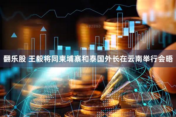 翻乐股 王毅将同柬埔寨和泰国外长在云南举行会晤