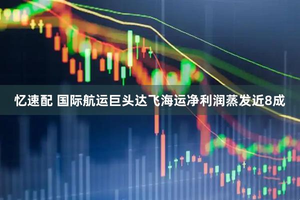 忆速配 国际航运巨头达飞海运净利润蒸发近8成